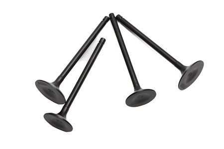 Клапаны ГРМ (компл.=2шт) 450см3 194MQ (NC450) X-TECH Клапаны ГРМ (компл.=2шт) 450см3 194MQ (NC450) X-TECH