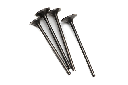 Клапаны ГРМ (компл.=2шт) 177MM (NC250) X-TECH Клапаны ГРМ (компл.=2шт) 177MM (NC250) X-TECH