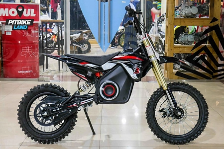 Электрический питбайк BUTCH (Батч) X2 1.5 kW, 2023 минибайк 14/12 Электрический питбайк BUTCH (Батч) X2 1.5 kW, 2023 минибайк 14/12