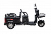 Электротрицикл Sibtrike Max (Сибтрайк Макс) 2000W