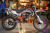 Мотоцикл кроссовый Progasi Palma 250 SE (Прогаси Палма) (CB250D-G) 21/18, Orange